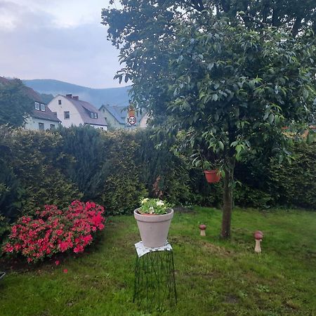 Pod Debem Apartment Jugow Bagian luar foto