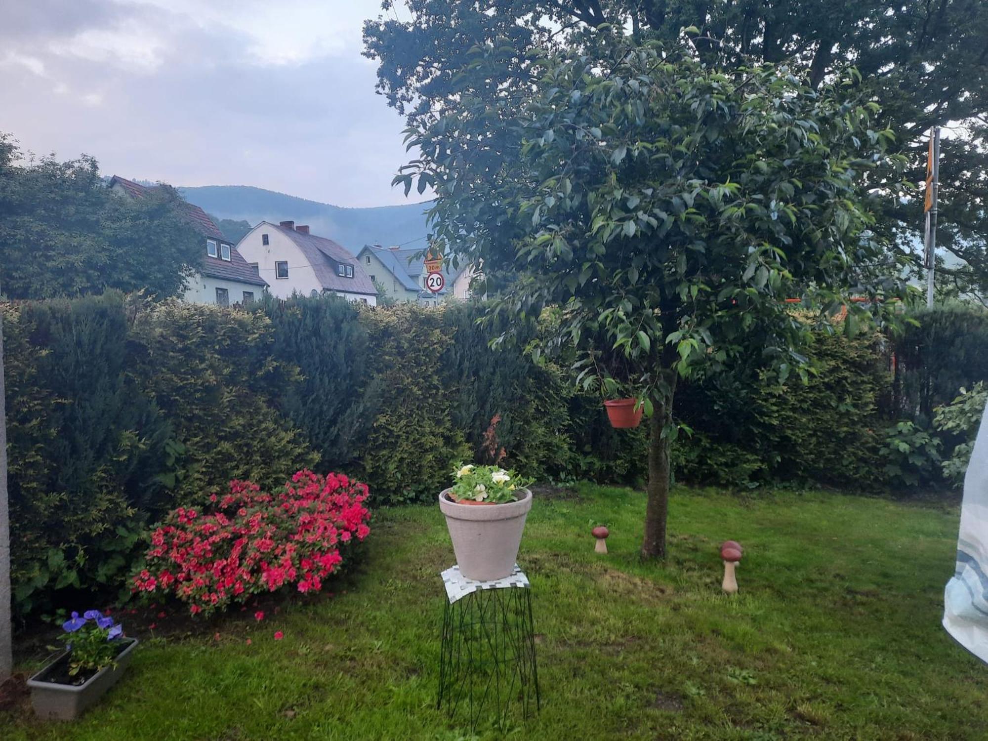 Pod Debem Apartment Jugow Bagian luar foto