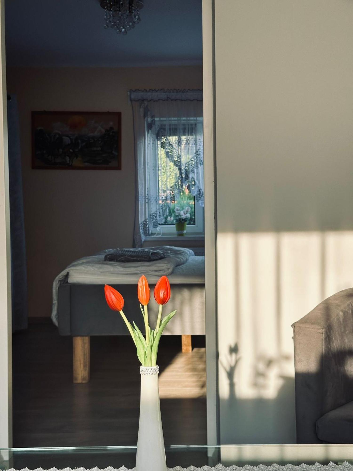 Pod Debem Apartment Jugow Bagian luar foto